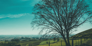 Storage Services Devon