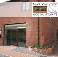 chartered accountants devon