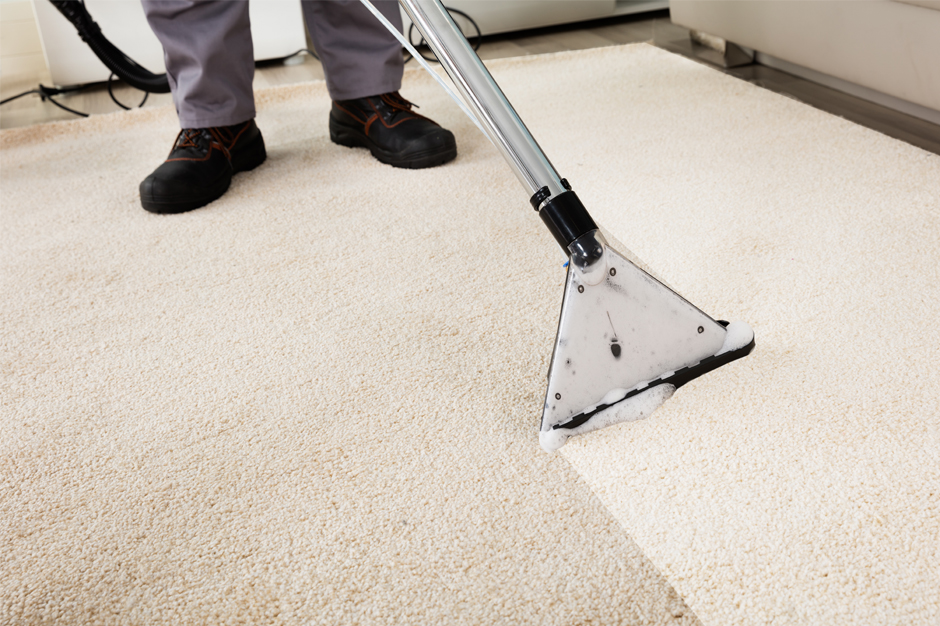 Carpet Cleaner Devon