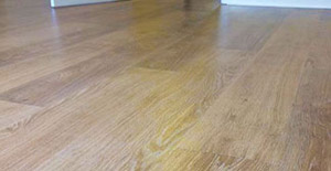 Laminate Flooring Devon