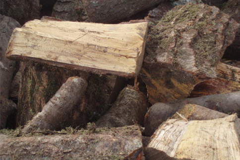 Fire Wood Devon