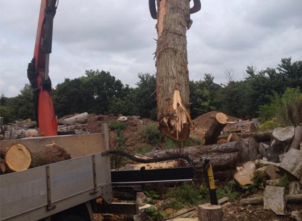 Devon Garden Clearance