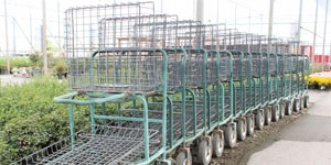 Garden Centres Devon