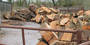 Garden Maintenance Devon