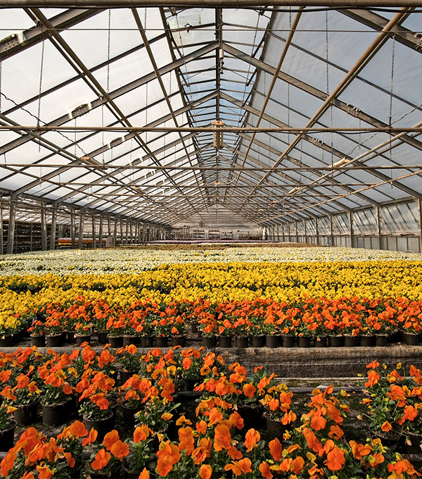 Garden Centres Devon