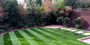 Landscape Design Devon