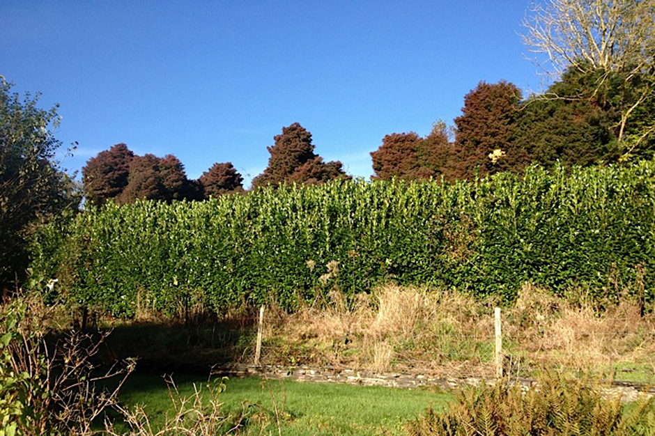 Landscape Design Devon