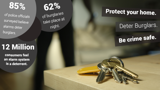 Burglar Alarm Installer