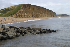 Devon Bed and Breakfast