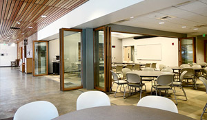 Timber Bifold Doors Devon