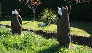 Hardwood Wiindows Devon