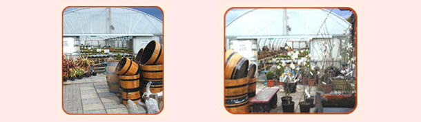 Somerset Disabled Equipment Garden Centre