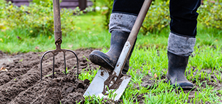 Landscape Design Somerset