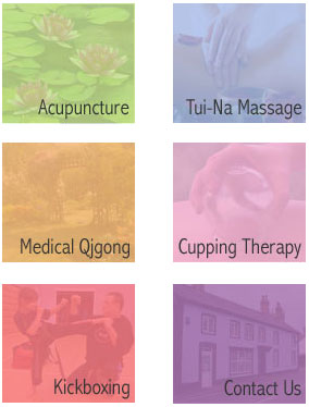Massage Therapist Somerset