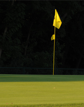 Golfing Orlando USA