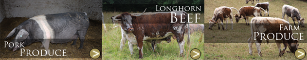longhorn beef for sale Somerset