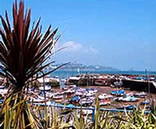 Devon Local Services Paignton